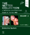 The Netter Collection of Medical Illustrations: Endocrine System, Volume 2, 3rd