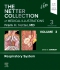 The Netter Collection of Medical Illustrations: Respiratory System, Volume 3, 3rd