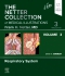 The Netter Collection of Medical Illustrations: Respiratory System, Volume 3 - Elsevier E-Book on VitalSource, 3rd Edition