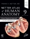 Netter Atlas of Human Anatomy: Classic Regional Approach with Latin Terminology, 9th Edition