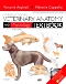 Introduction to Veterinary Anatomy and Physiology Textbook - Elsevier eBook On VitalSource, 2nd Edition