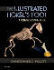 Illustrated Horse's Foot – Elsevier eBook on VitalSource
