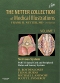 The Netter Collection of Medical Illustrations: Nervous System, Volume 7, Part II - Spinal Cord and Peripheral Motor and Sensory Systems, 2nd