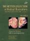 The Netter Collection of Medical Illustrations: Digestive System: Part II - Lower Digestive Tract, 2nd