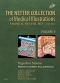 The Netter Collection of Medical Illustrations: Digestive System: Part III - Liver, etc., 2nd