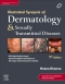 Illustrated Synopsis of Dermatology & Sexually Transmitted Diseases, 7th